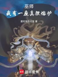 巫师：我有一座真理熔炉